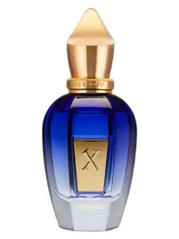 xerjoff-torino-21-100-ml-edp