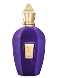 xerjoff-accento-100ml-edp