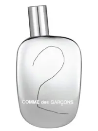 comme-des-garcons-2-100ml-edp