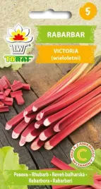 rabarbar-victoria-slodki-nasiona-toraf-05g