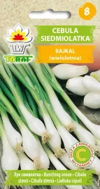 cebula-siedmiolatka-bajkal-szczypiorek-toraf