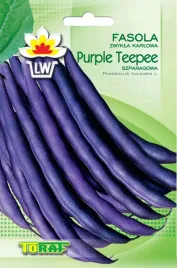 fasola-purple-teepee-fioletowa-karlowa-nasiona-toraf