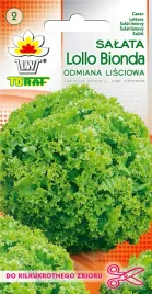 salata-lollo-bionde-kedzierzawa-lisciowa-zielona-toraf-1g