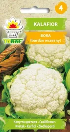 kalafior-bora-wczesny-nasiona-kalafiora-toraf