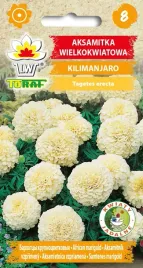 aksamitka-kilimanjaro-kremowa-biala-kilimandzaro-03g-toraf