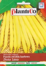 fasola-zlota-saxa-zolta-karlowa-nasiona-plantico-40g