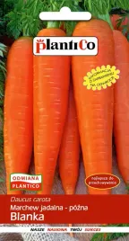 marchew-blanka-pozna-nasiona-marchwi-plantico