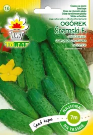 ogorki-sremskie-sremski-ogorek-nasiona-na-tasmie-7m-toraf
