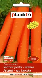 marchew-jagna-karotka-wczesna-nasiona-plantico