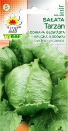 salata-tarzan-lodowa-krucha-nasiona-toraf