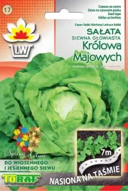 salata-krolowa-majowych-nasiona-na-tasmie-7m-toraf