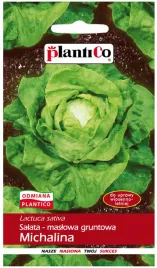 salata-michalina-maslowa-wczesna-nasiona-plantico-1g