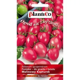 pomidor-malinowy-kapturek-mini-nasiona-plantico