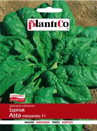 szpinak-asta-f1-wczesny-nasiona-plantico-10g
