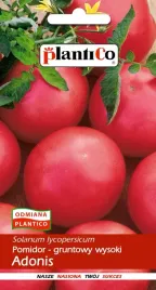 pomidor-adonis-malinowy-wczesny-nasiona-plantico