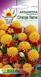 aksamitka-orange-flame-czerwona-niska-nasiona-toraf