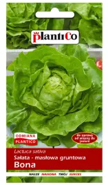 salata-bona-maslowa-gruntowa-nasiona-plantico-1g
