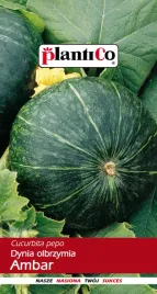 dynia-olbrzymia-ambar-nasiona-plantico