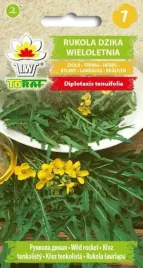 rukola-salatkowa-dzika-wieloletnia-nasiona-toraf-1g
