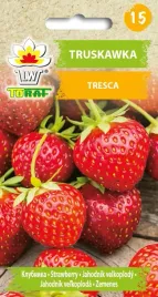 truskawka-tresca-nasiona-25szt-toraf