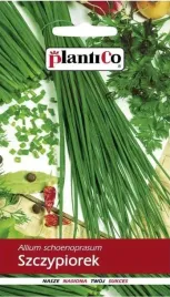szczypiorek-ogrodowy-medium-nasiona-plantico