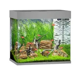 juwel-lido-120l-61x41x58cm-zestaw-akwarium-szary