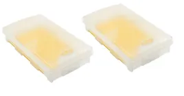 2xvaco-skuteczna-pulapka-na-myszy-mouseandinsect