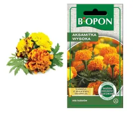 biopon-nasiona-aksamitka-wysoka-mieszana-1g