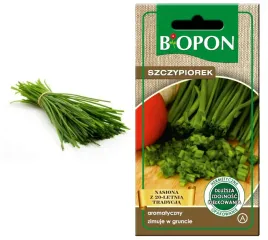 biopon-nasiona-aromatyczny-szczypiorek-1g