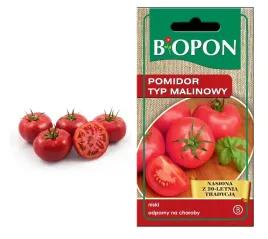 biopon-nasiona-pomidor-malinowy-02g