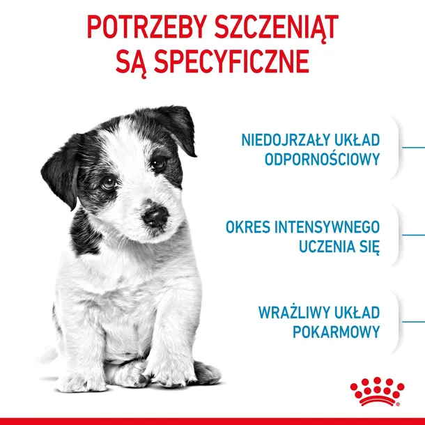 royal-canin-mini-puppy-4kg-wielkosc-psa-rasy-male-less10-kg