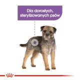 royal-canin-mini-sterilised-3kg-wielkosc-psa-rasy-male-less10-kg