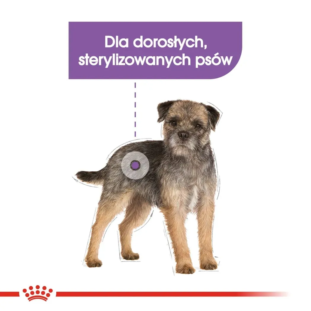 royal-canin-mini-sterilised-3kg-marka-royal-canin