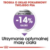 royal-canin-mini-sterilised-3kg-marka-royal-canin-wiek-zwierzecia-psy-dorosle