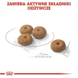 royal-canin-mini-sterilised-3kg-marka-royal-canin-waga-produktu-wiecej-niz-2-kg-do-5-kg