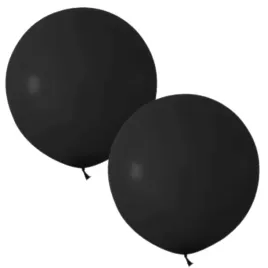 balony-beauty-and-charm-pastelowe-czarny-godan-24-2-szt