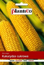 kukurydza-cukrowa-nasiona-kukurydzy-plantico-10g