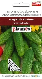ogorek-konserwowy-soplica-nasiona-ogorka-otoczkowane-plantico