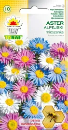 aster-alpejski-mieszanka-mix-nasiona-astra-alpejskiego-toraf