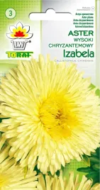 aster-chryzantemowy-wysoki-izabela-zolty-nasiona-astra-toraf