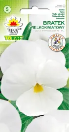 bratek-wielkokwiatowy-bialy-nasiona-bratka-bialego-toraf
