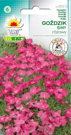 gozdzik-siny-rozowy-nasiona-gozdzika-sinego-rozowego-toraf-02g