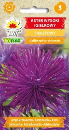 aster-igielkowy-wysoki-fioletowy-nasiona-astra-igielkowego-toraf-1g