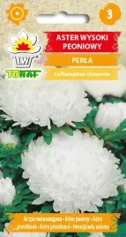 aster-peoniowy-wysoki-perla-bialy-nasiona-astra-peoniowego-toraf-1g