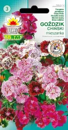 gozdzik-chinski-mieszanka-mix-kolorow-nasiona-gozdzika-chinskiego-toraf