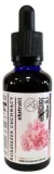 andrographis-paniculata-ekstrakt-50-ml-organis-postac-krople