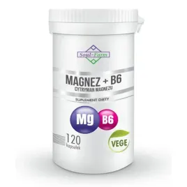 magnez-cytrynian-magnezu-650-mg-b6-120-kaps