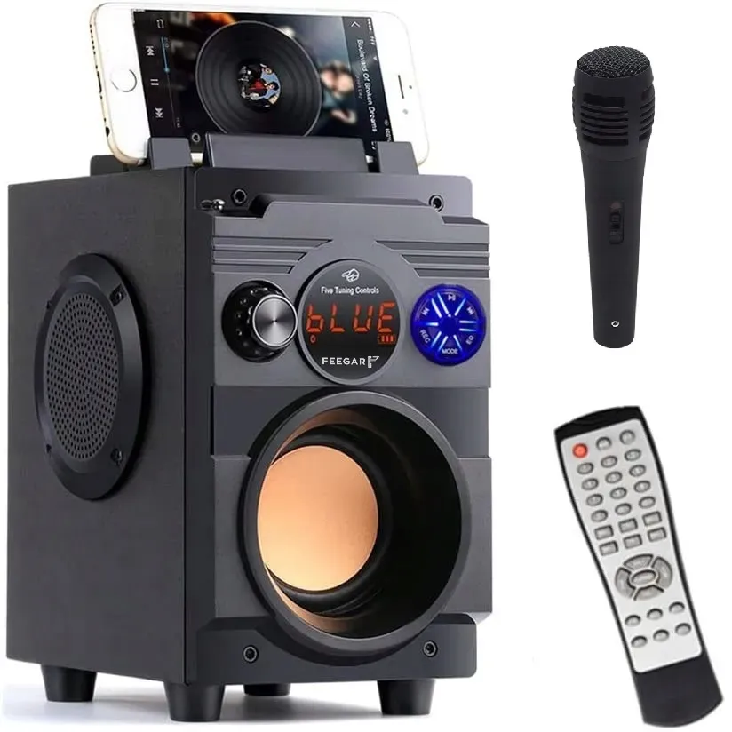przenosny-glosnik-bluetooth-feegar-karaoke-mikrofo-stan-nowy