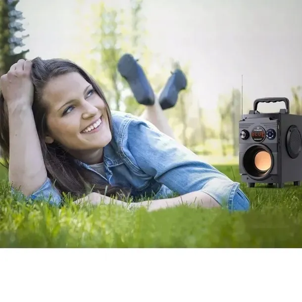 przenosny-glosnik-bluetooth-feegar-karaoke-mikrofo-kod-producenta-5904610880234