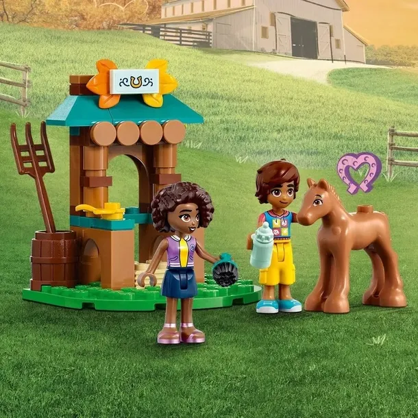 lego-41730-friends-plec-chlopcy-dziewczynki